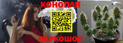 мдма Кингисепп