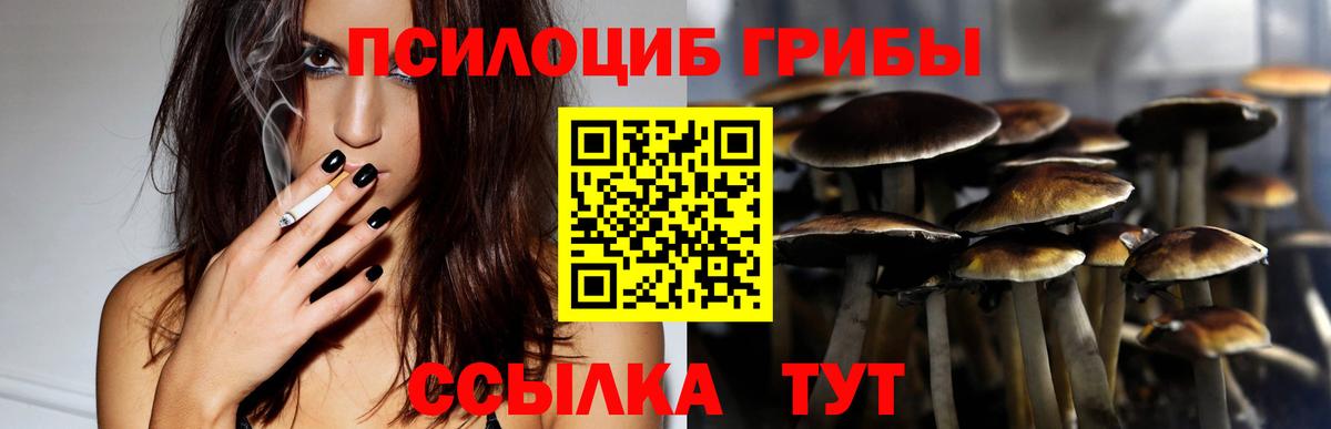 Псилоцибиновые грибы Cubensis  Вход с VPN  Королёв 