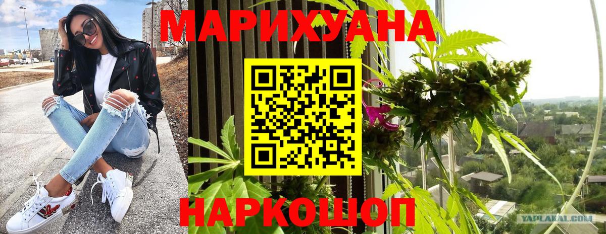 Конопля планчик  Шишки марихуана MAZAR  МАРИХУАНА планчик  Вход с VPN  Королёв  МАРИХУАНА Bruce Banner 